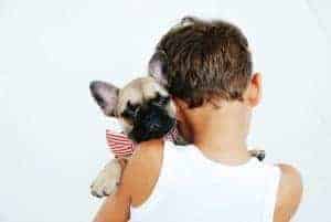 Boy wearing a white tank top faces away from the camera while holding a french bulldog in his arms wearing a red striped bow
