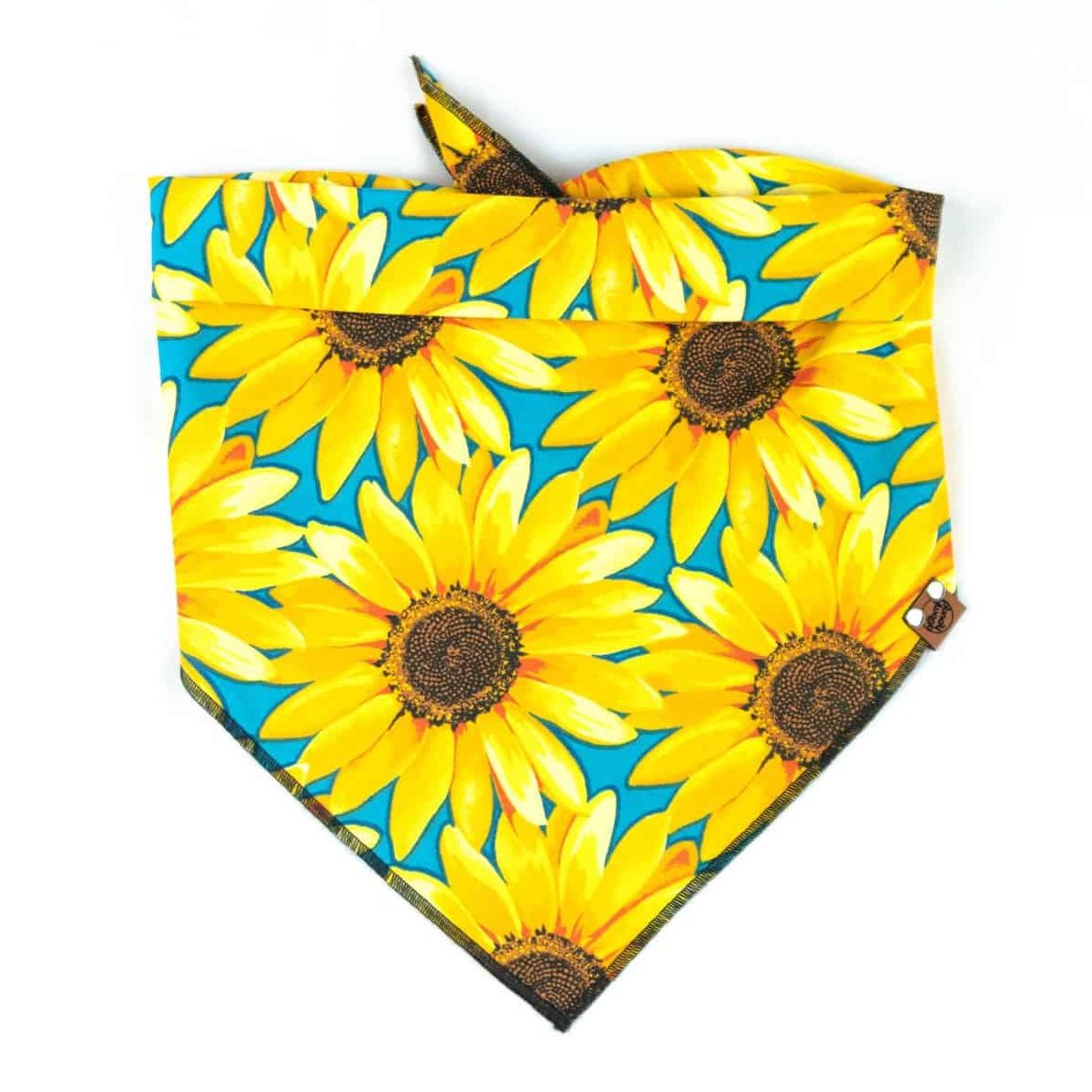 Bright yellow sunflower and blue dog bandana
