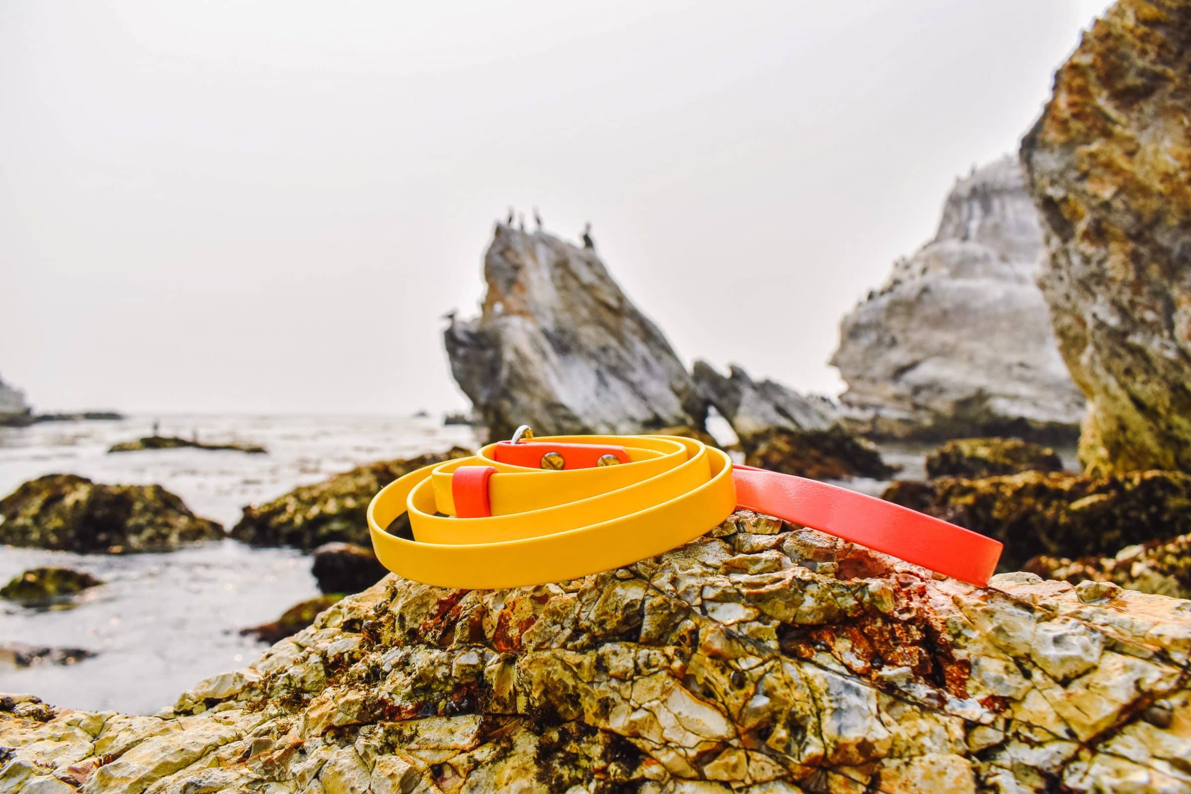 yellow and pink biothane slip dog leash slip lead at ocean waterproof