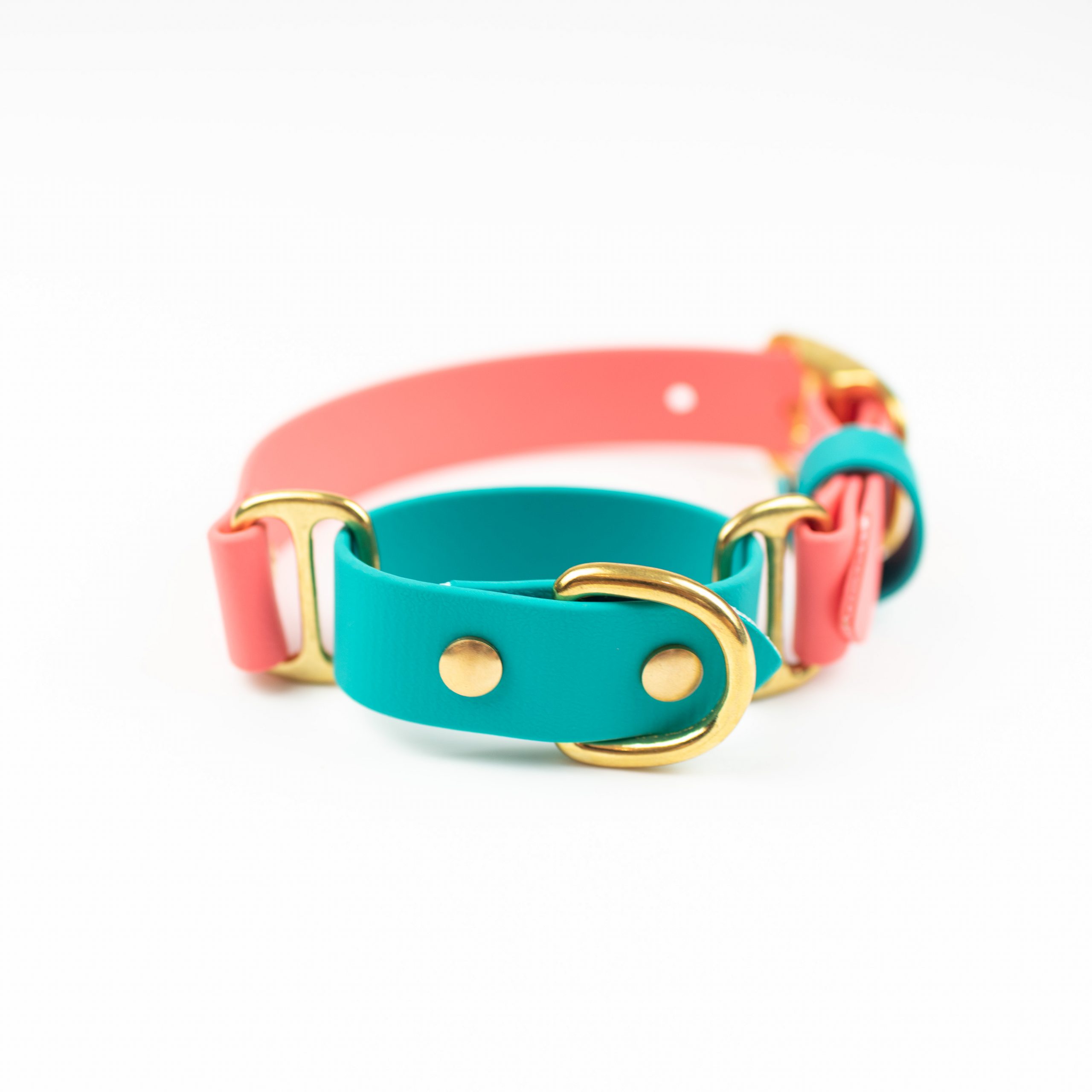 Coral, teal and brass solid brass Adventure Martingale collar