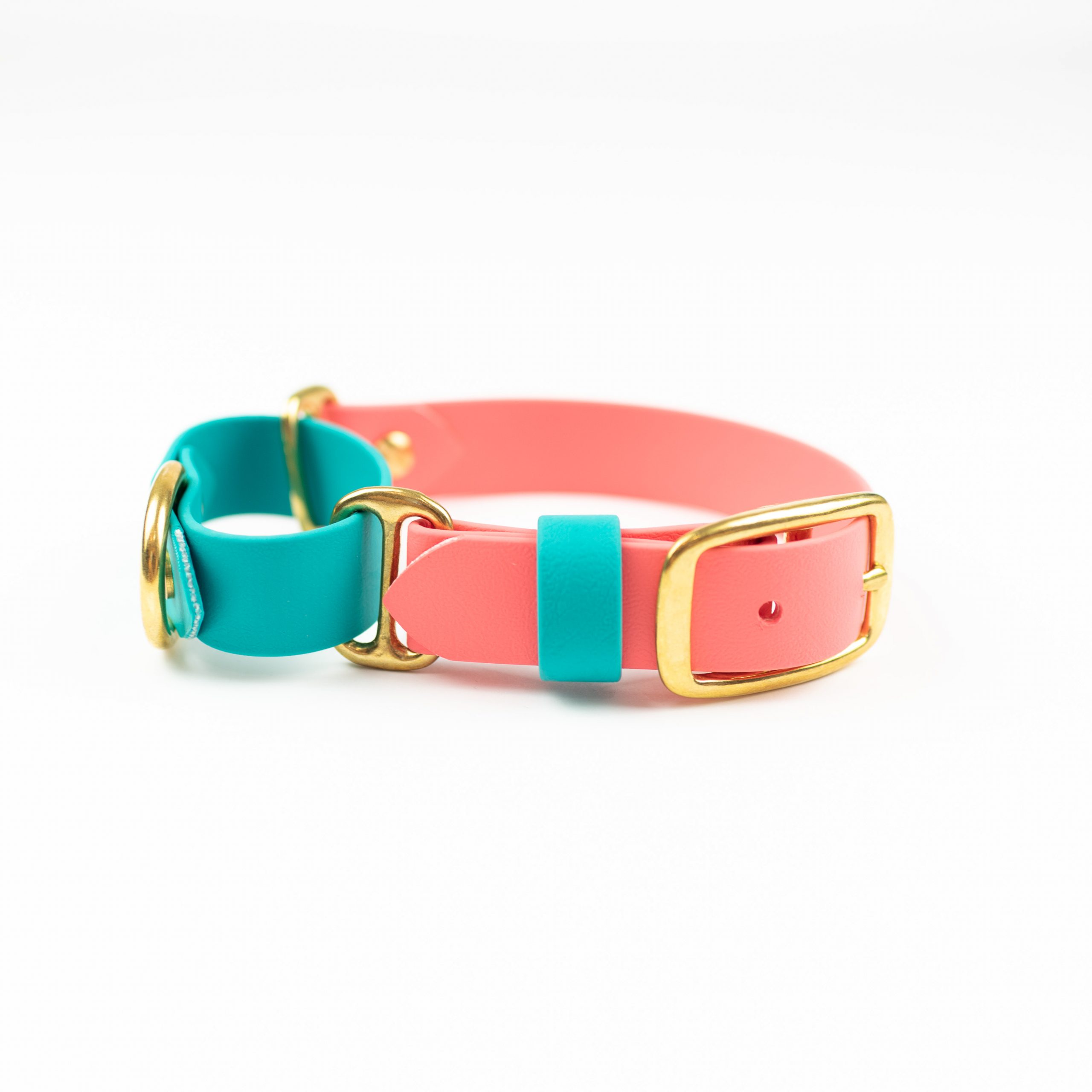 Coral, teal and brass solid brass Adventure Martingale collar