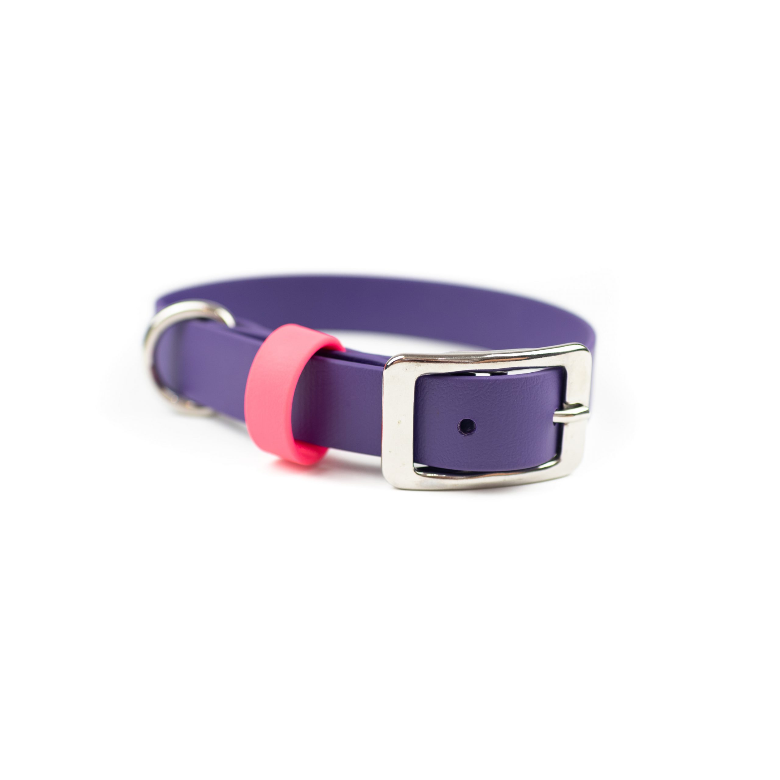 purple adventure dog collar with pink keeper