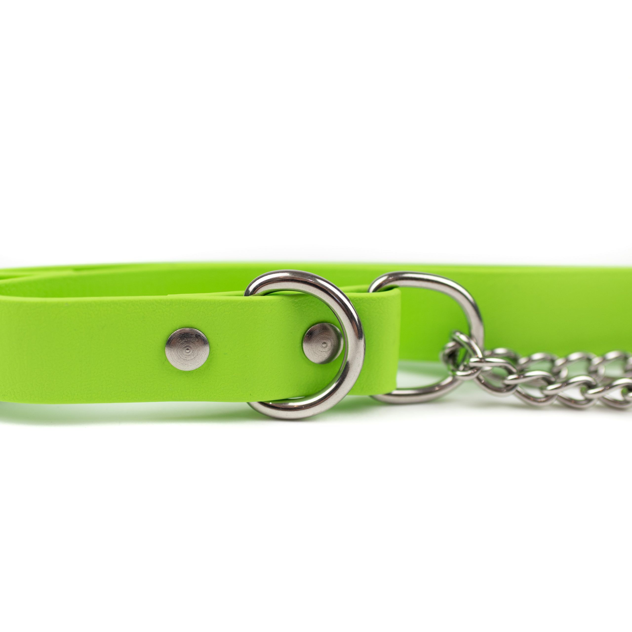 green and stainless steel classic martingale collar
