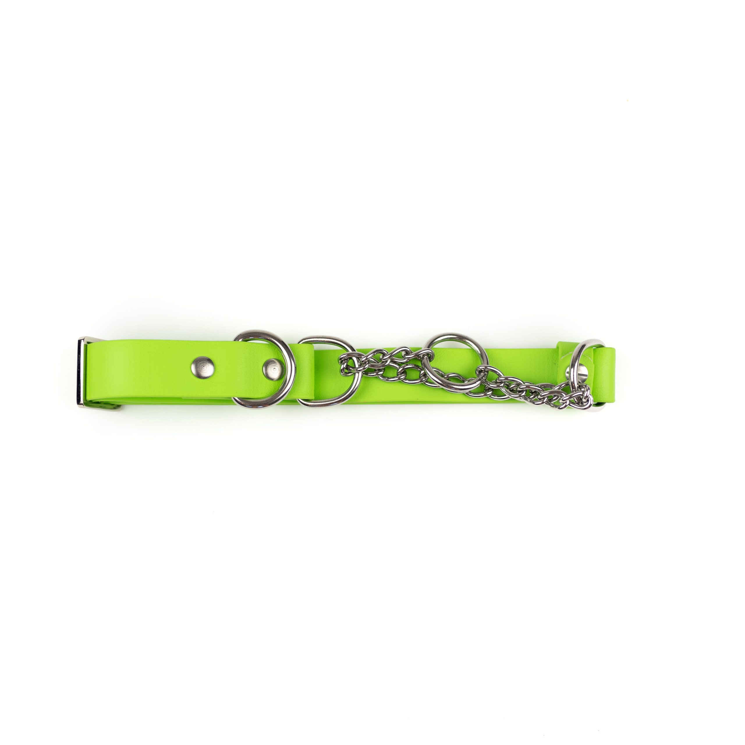 lime green and stainless steel classic martingale collar