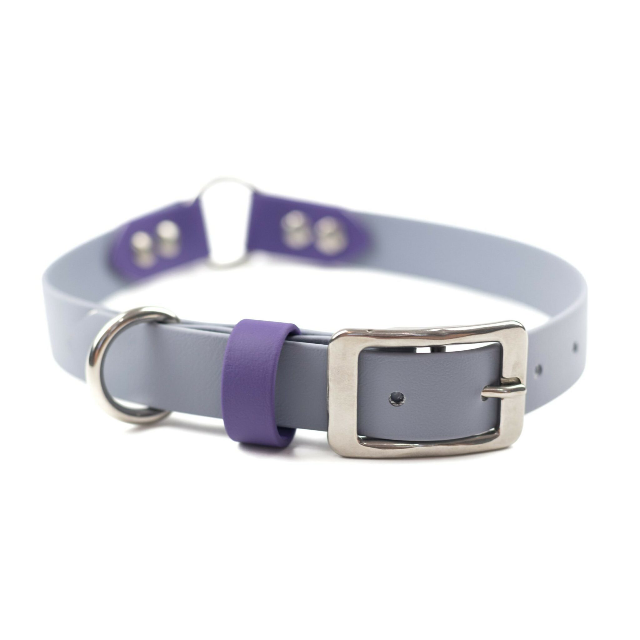 Grey, purple stainless steel o ring collar