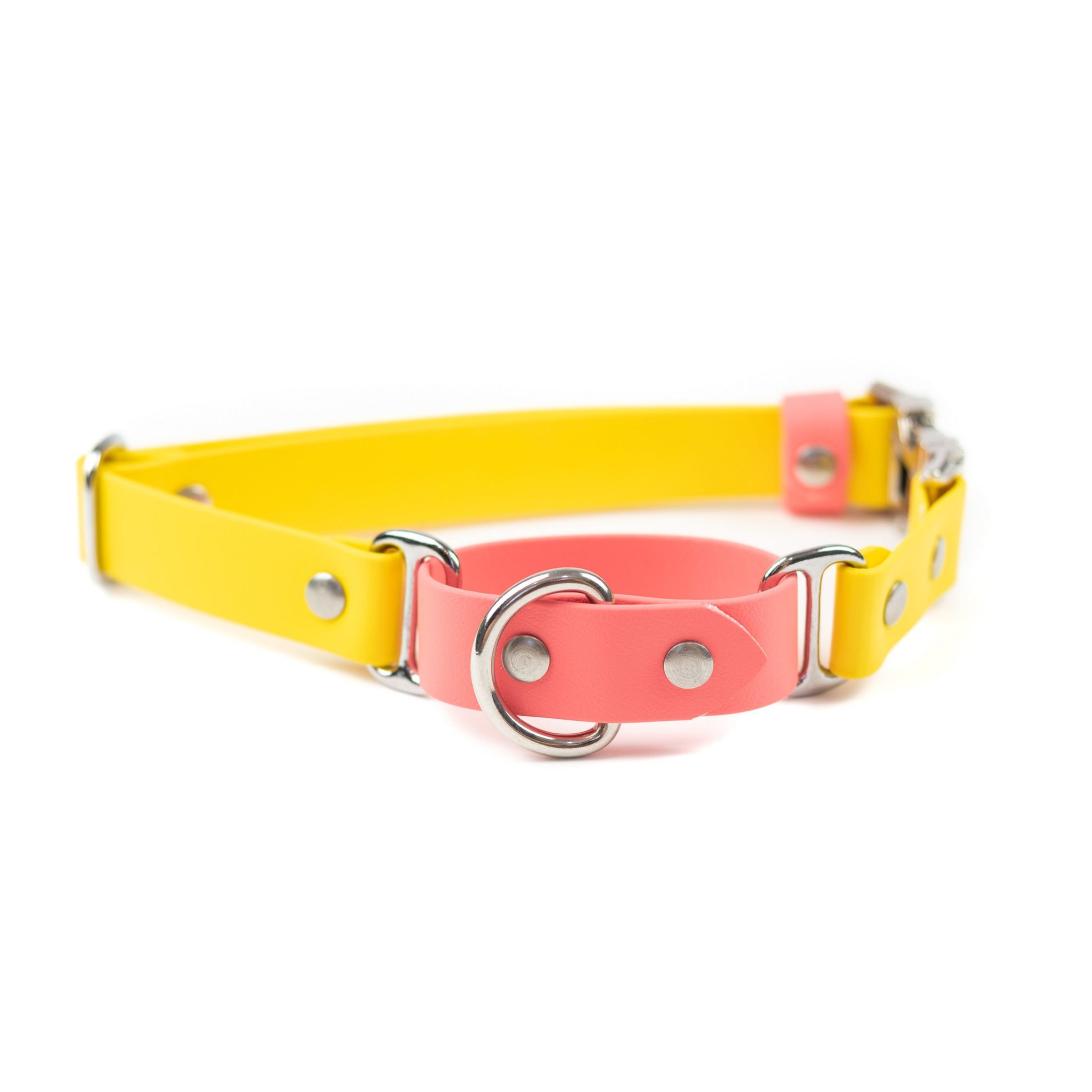 quick release adventure martingale in coral, sunshine and nickel