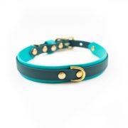 Multilayer biothane dog collar in teal and green