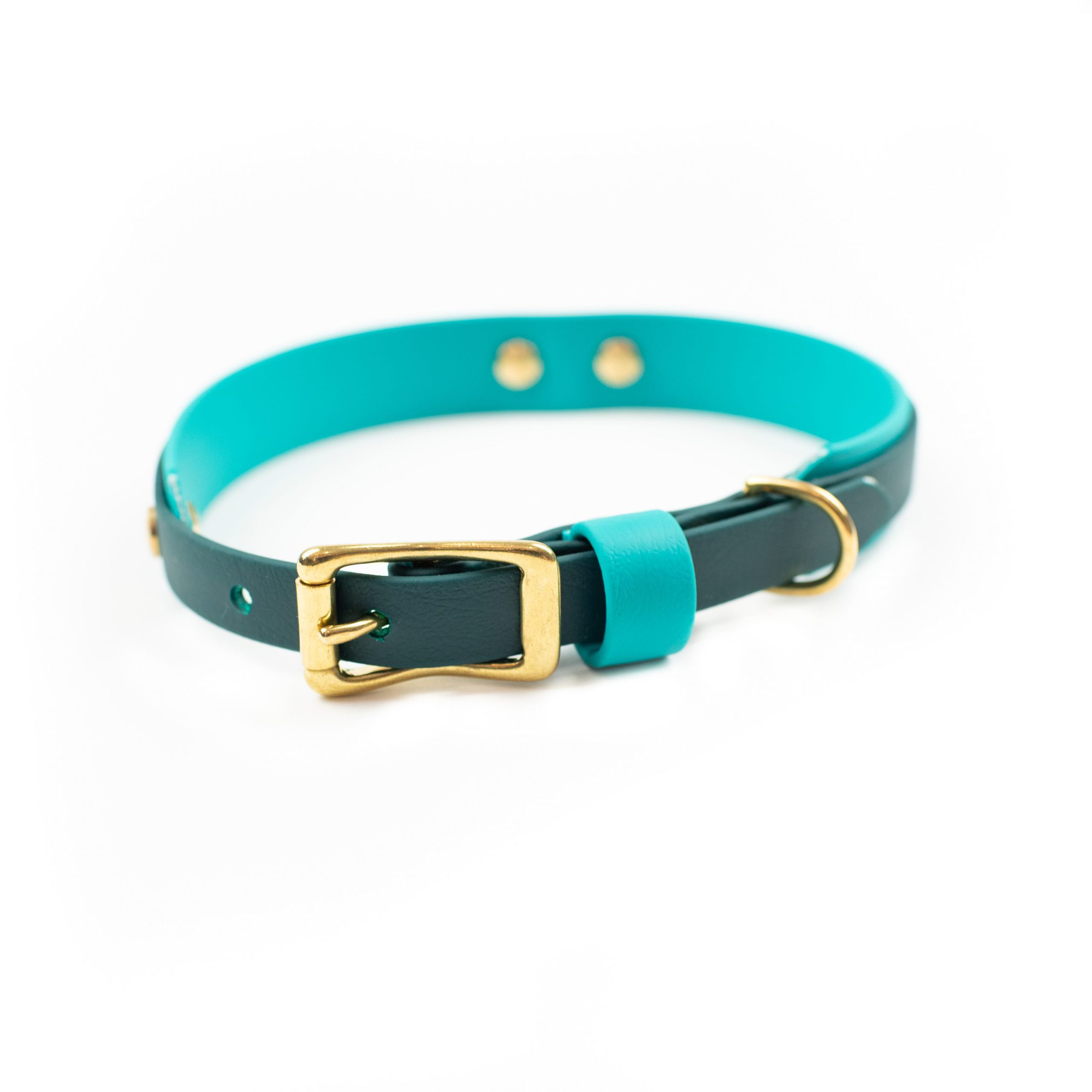 Multilayer biothane dog collar in teal and green