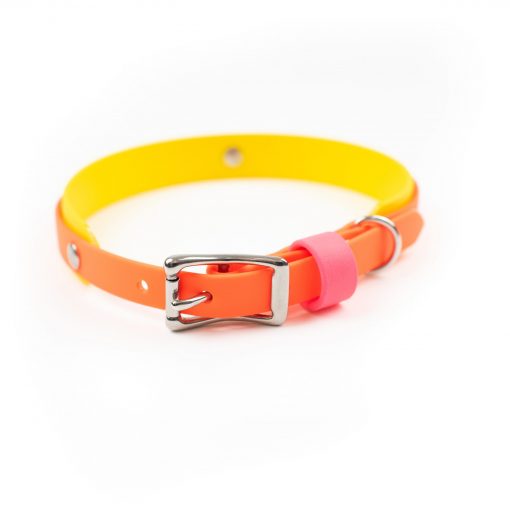 Multilayer biothane dog collar in yellow and orange
